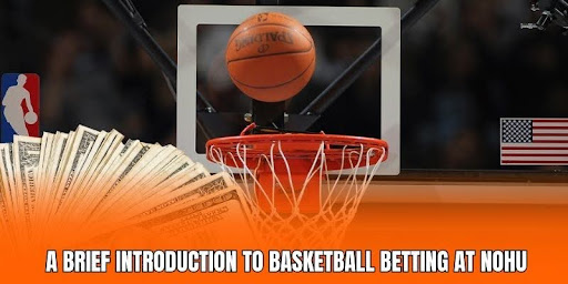 NOHU Basketball Betting – Playground for Sports Fans